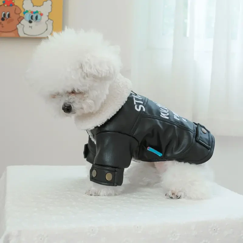 Obleček Rocketman