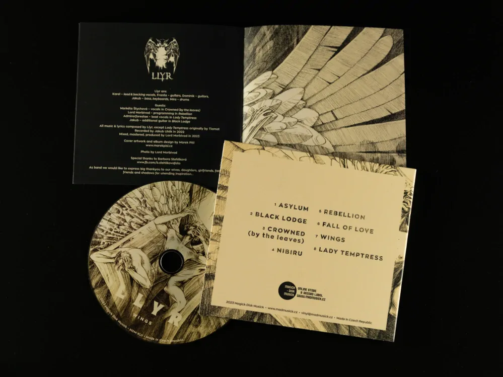 LLYR-Wings, CD