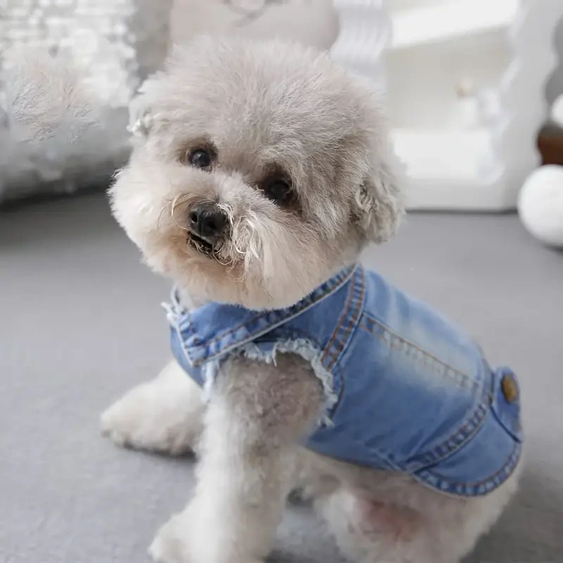 Obleček Dog Denim Sleeveless Vest