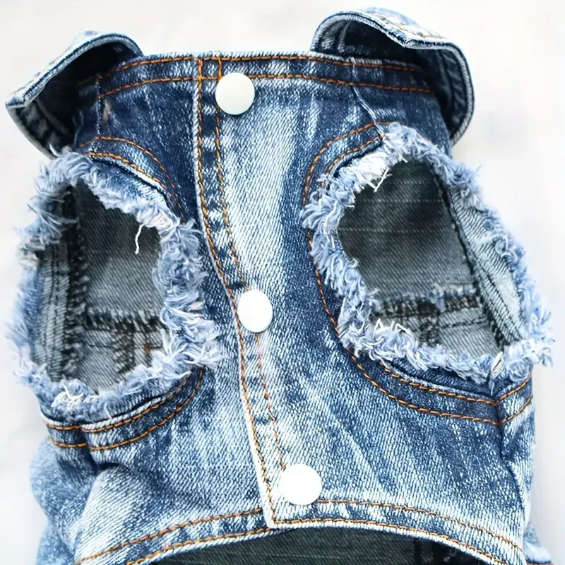 Obleček Jeans Dog